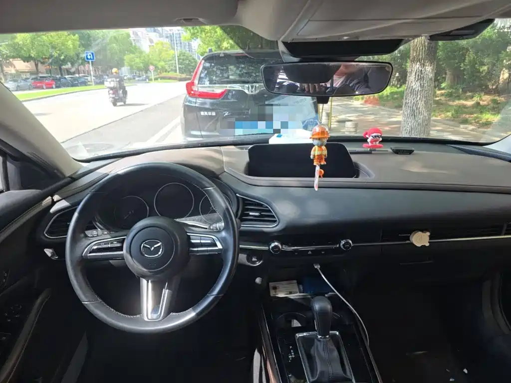 Mazda CX-30 2021 2021 2.0L Auto Premium Joy Type