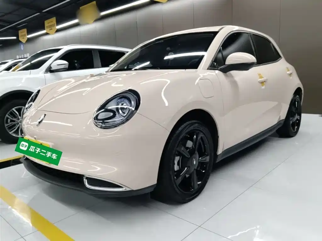 Ora Good Cat 2024 401km Luxury