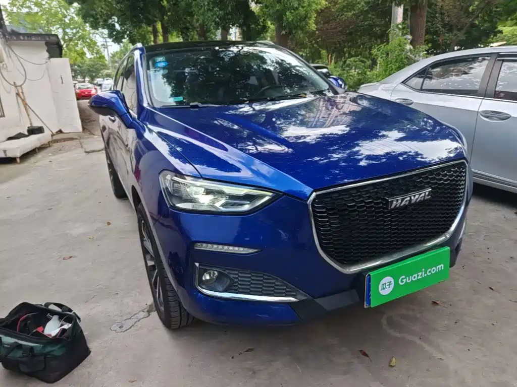 Haval F5 2019 2019 National Trend Edition 1.5T iTrend China VI