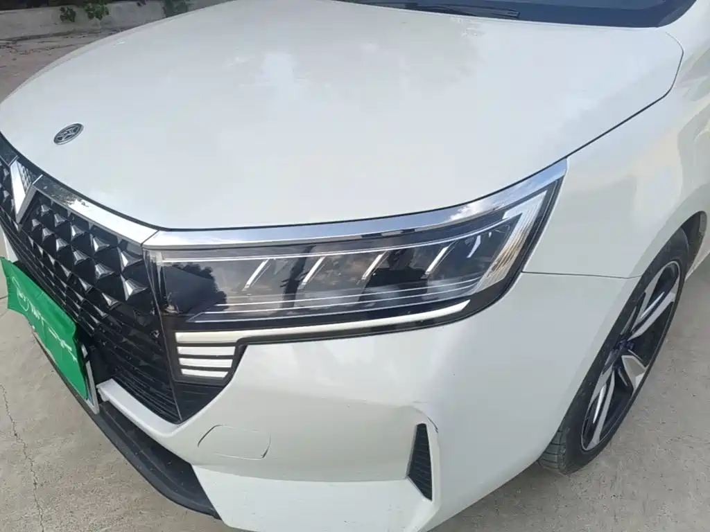 Venucia D60 2024 2023 PLUS 1.6L XL CVT Joy Leader Edition
