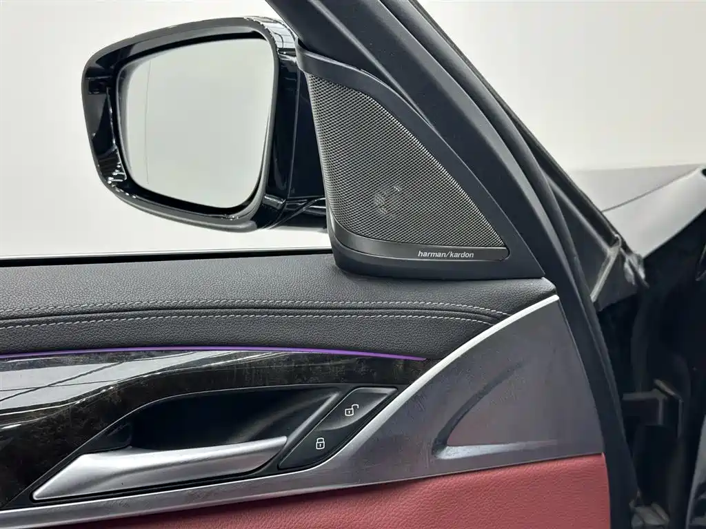 BMW 5 Series 2020 530Li Leading M Sport Package фото 15