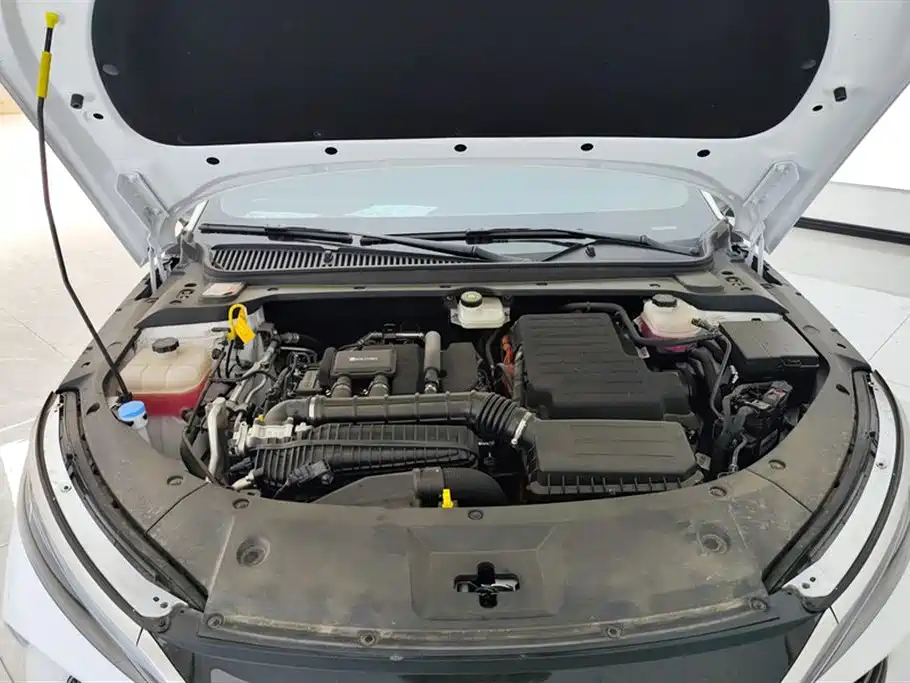 BYD Qin L 2024 DM-i 80KM Leading Edition фото 10