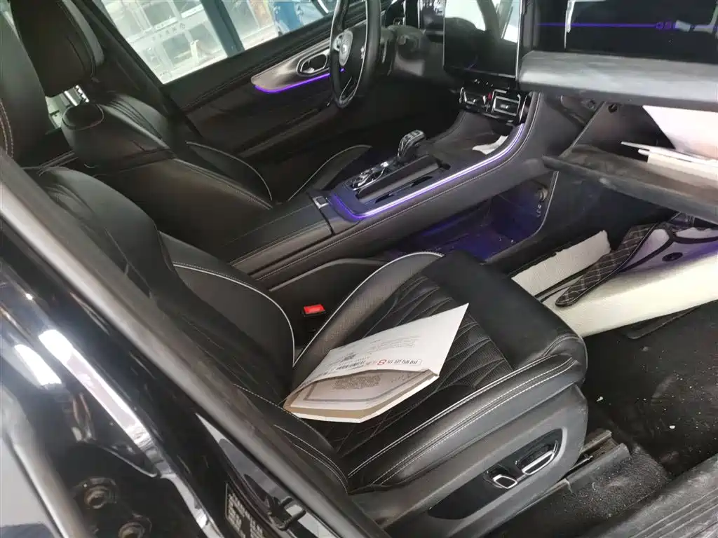 GAC Trumpchi Trumpchi GS8 2022 Pilot Series 2.0TGDI 2WD Luxury Smart Connect Edition (7-Seater) фото 20