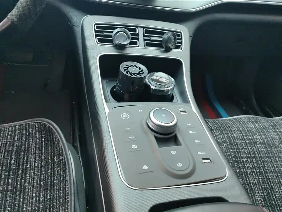 BYD Destroyer 05 2024 Glory Edition DM-i 55KM Luxury фото 16