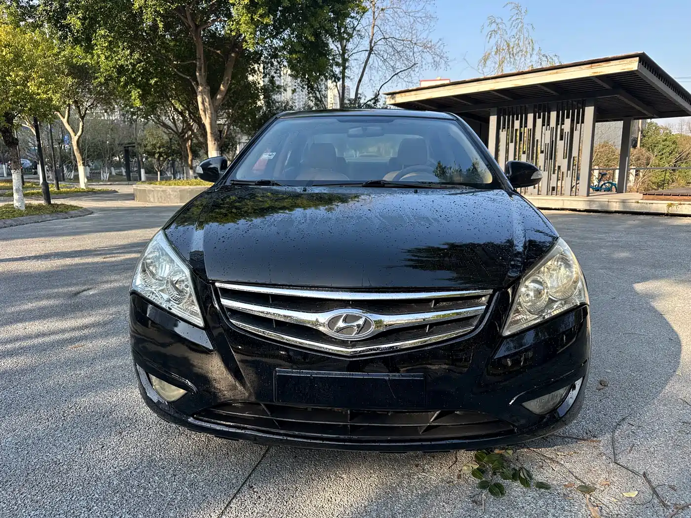 Hyundai Elantra 2010 1.6L AT GLS фото 4