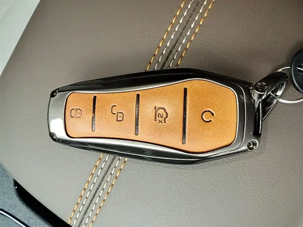 BYD Qin PLUS 2023 Champion Edition DM-i 55KM Leading фото 9