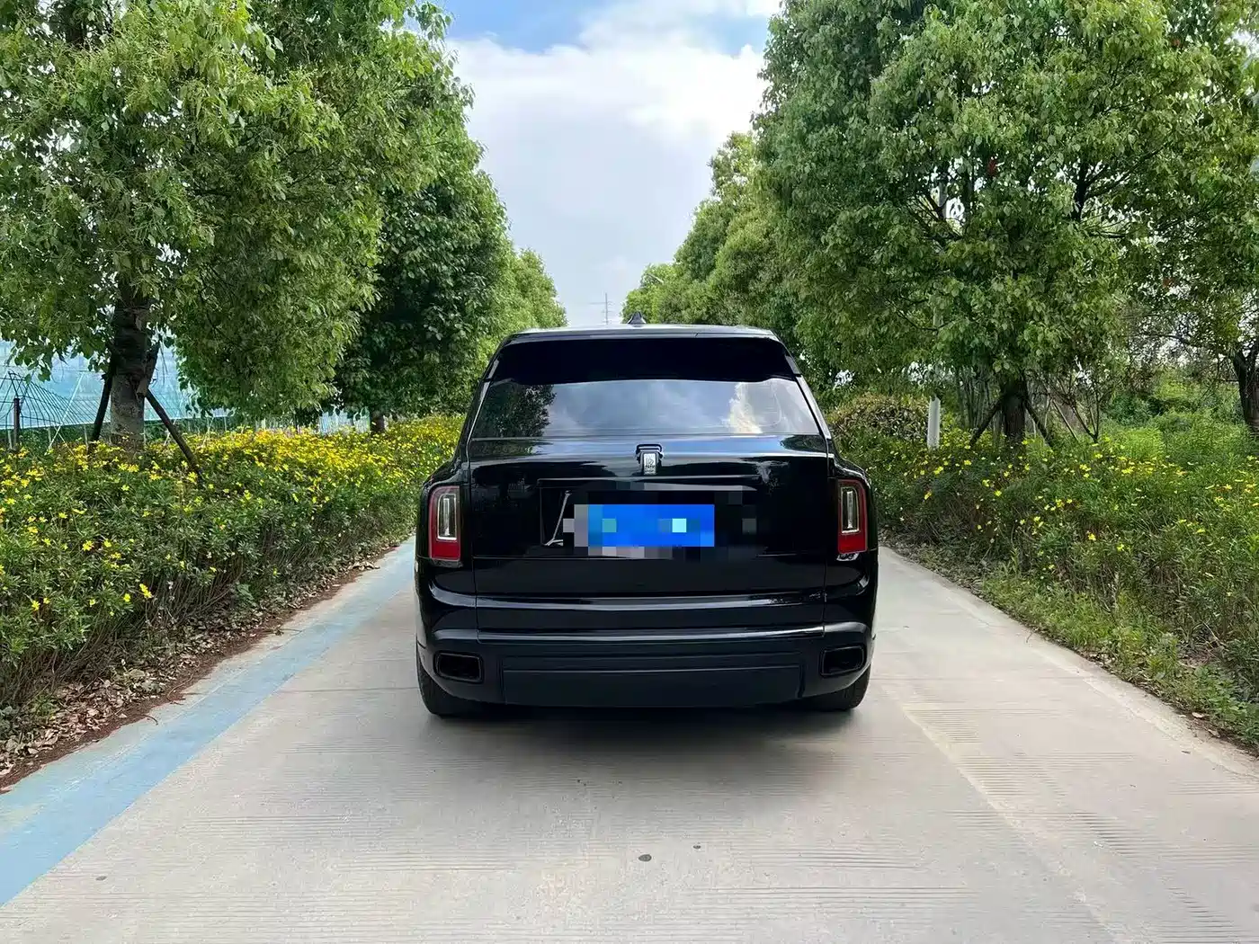 Rolls-Royce Cullinan 2018 4-Seater Version фото 4