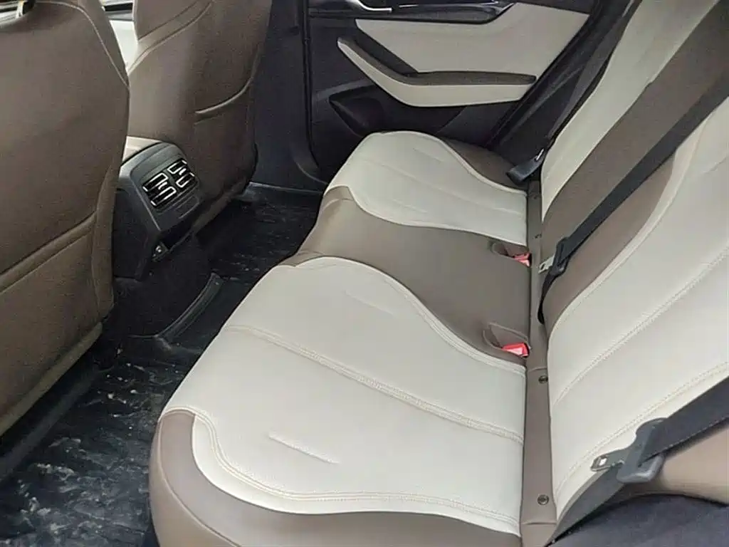 BYD Qin PLUS 2023 Champion Edition DM-i 55KM Leading фото 17