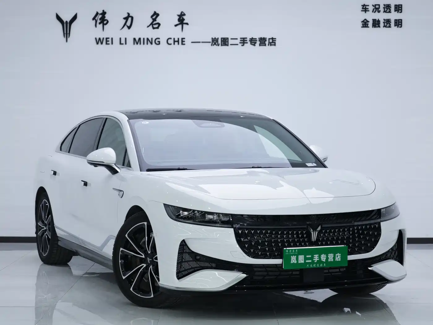 Voyah Auto VOYAH Zhuiguang 2024 PHEV AWD Ultra Long Range Flagship фото 3