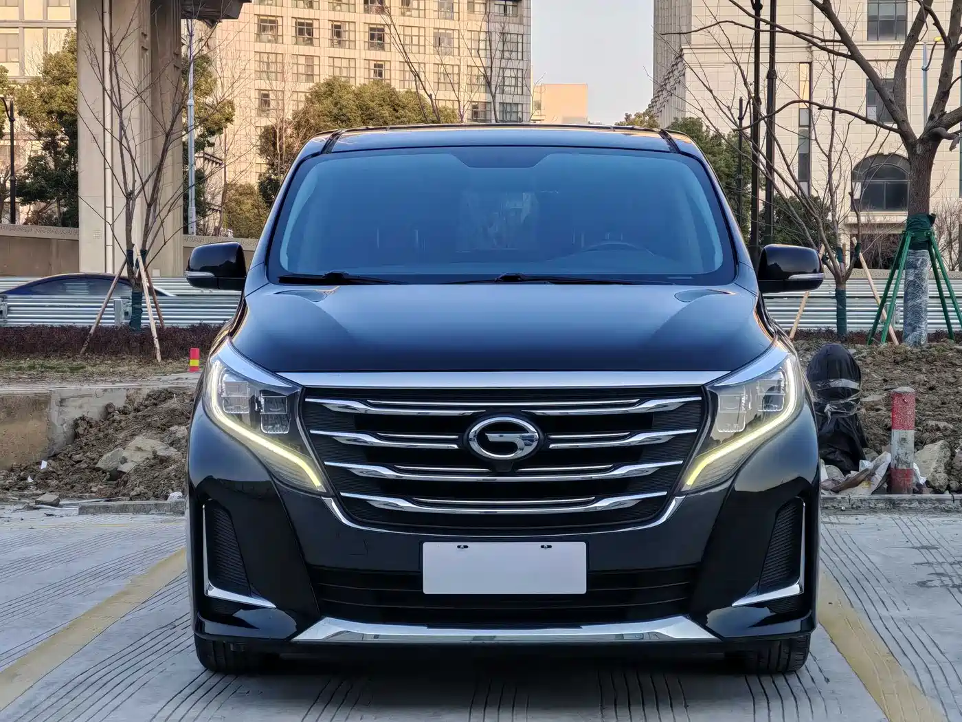 GAC Trumpchi Trumpchi M8 2020 Pilot 390T Premium Edition фото 2