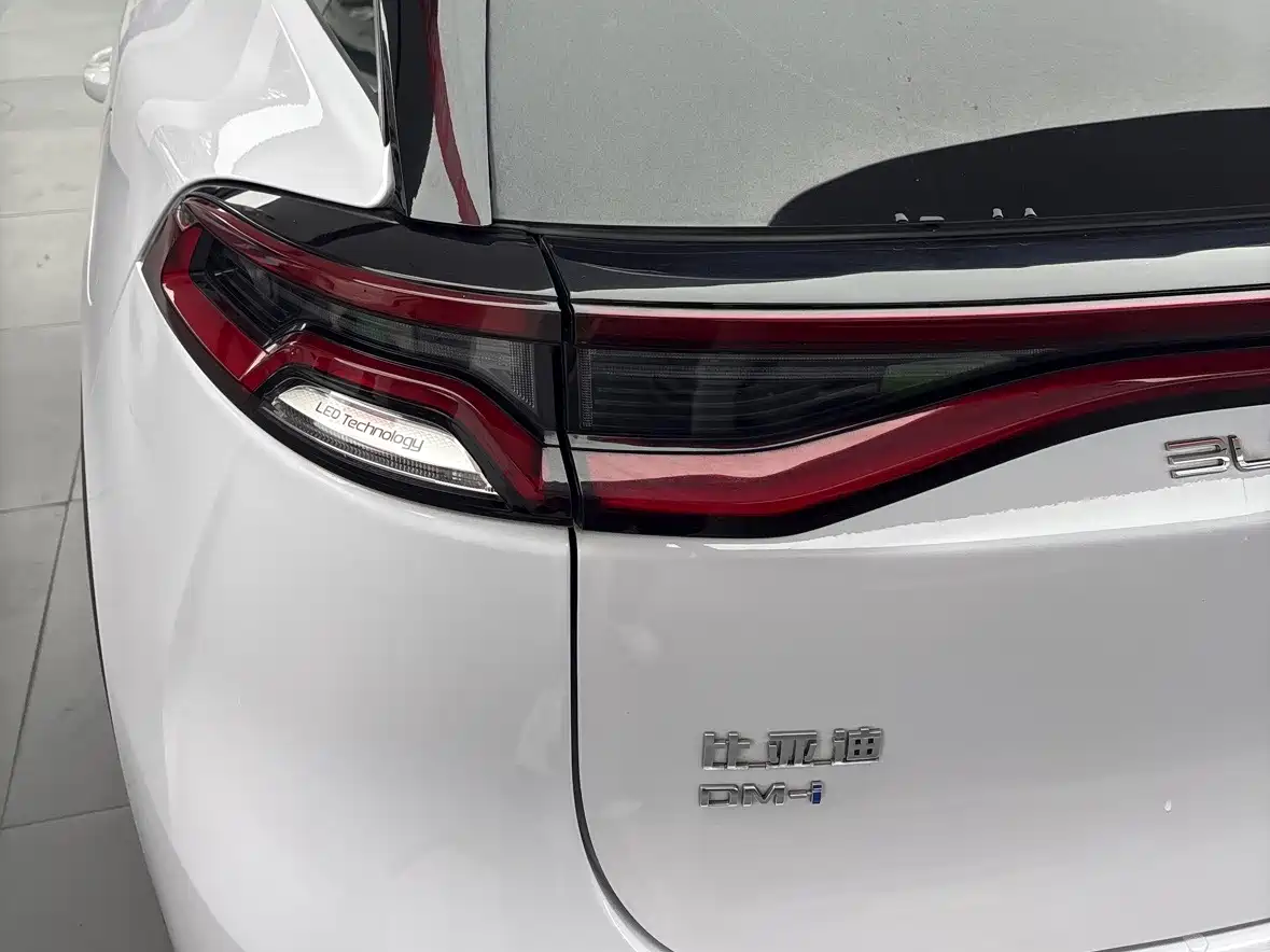 BYD Tang New Energy 2021 DM-i 112KM Honor фото 6