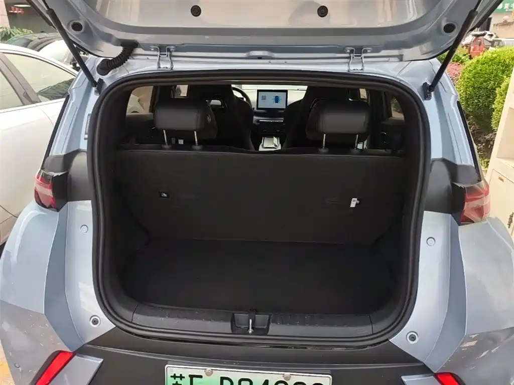 BYD Seagull 2025 305km Vitality фото 19