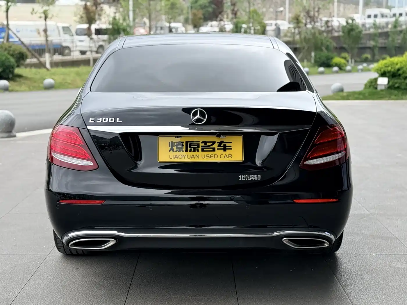 Mercedes-Benz E-Class 2020 Facelift E 300 L Exclusive фото 6