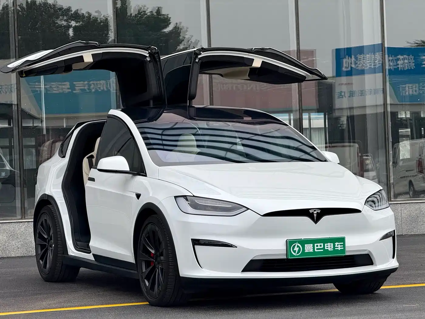 Photo 8 - Tesla Model X