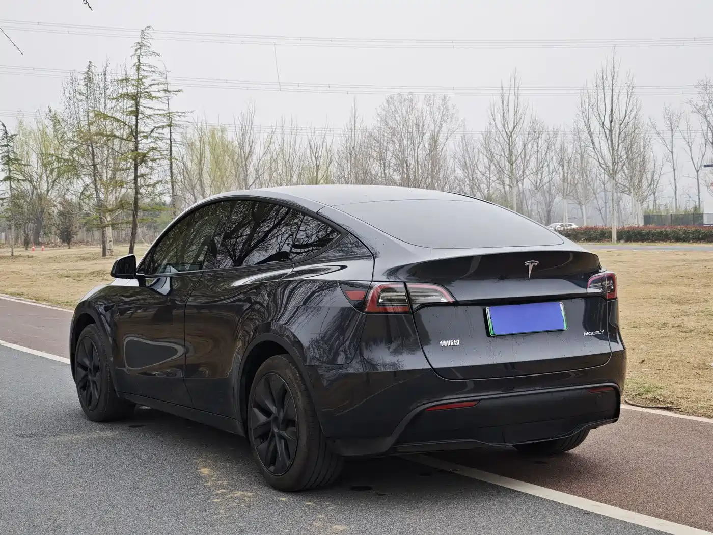 TESLA MODEL Y