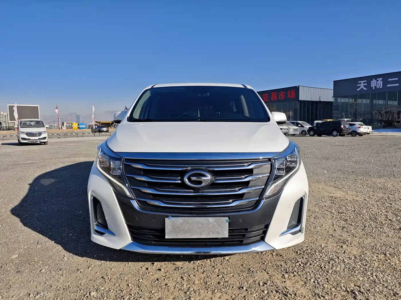 GAC Trumpchi Trumpchi M8 2020 Pilot 390T Prestige Edition фото 2