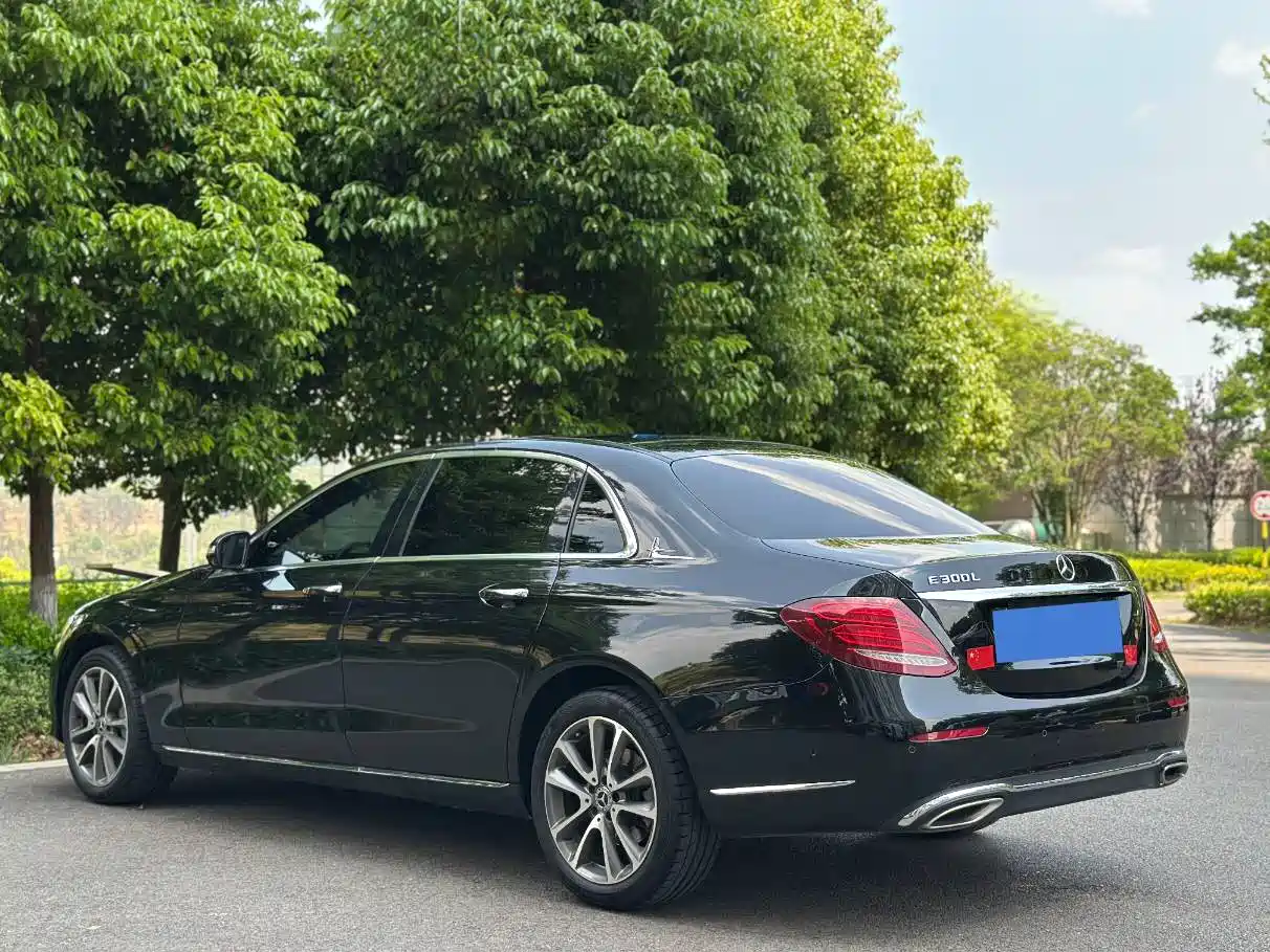 Mercedes-Benz E-Class 2019 E 300 L Fashion фото 4