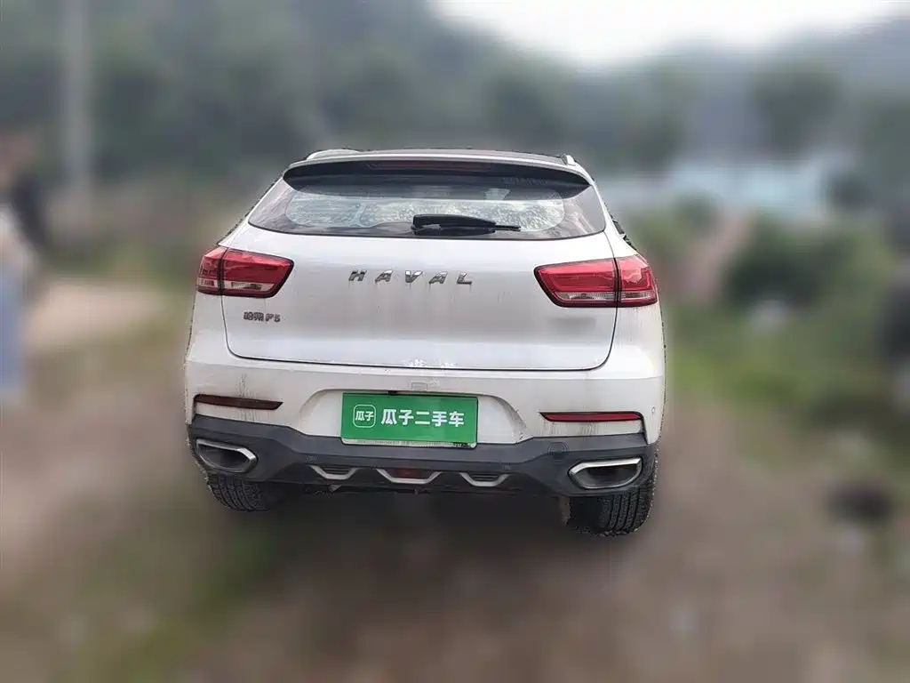 Haval F5 2018 1.5T i-Trend фото 4