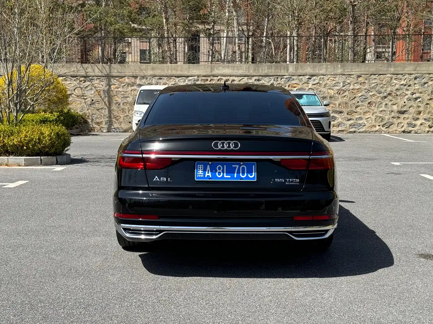 Audi A8 2022 A8L 50 TFSI quattro Comfort Collector's Edition фото 9