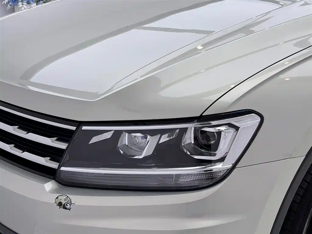 Volkswagen Tiguan L 2020 330TSI Auto 2WD Smart Luxury China VI фото 13