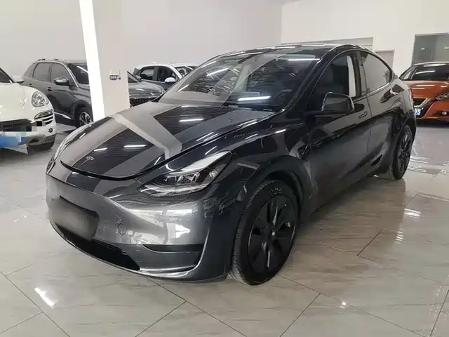 Tesla Model Y Задний привод