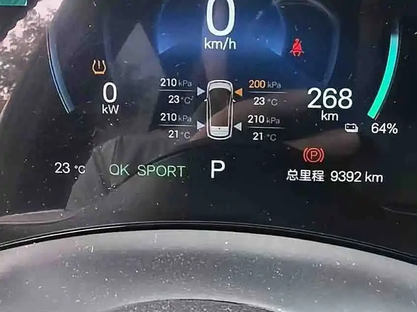 BYD Dolphin 2026 2025 420km Freedom Edition