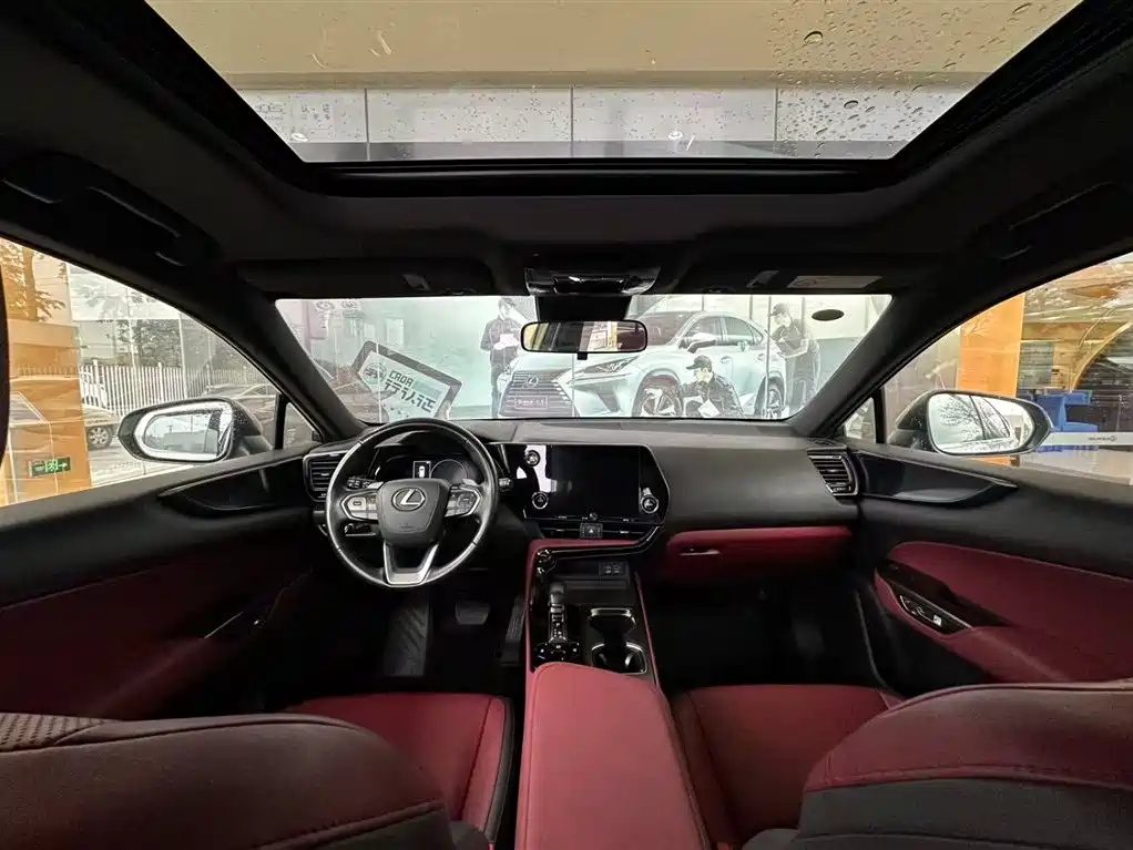 LEXUS NX