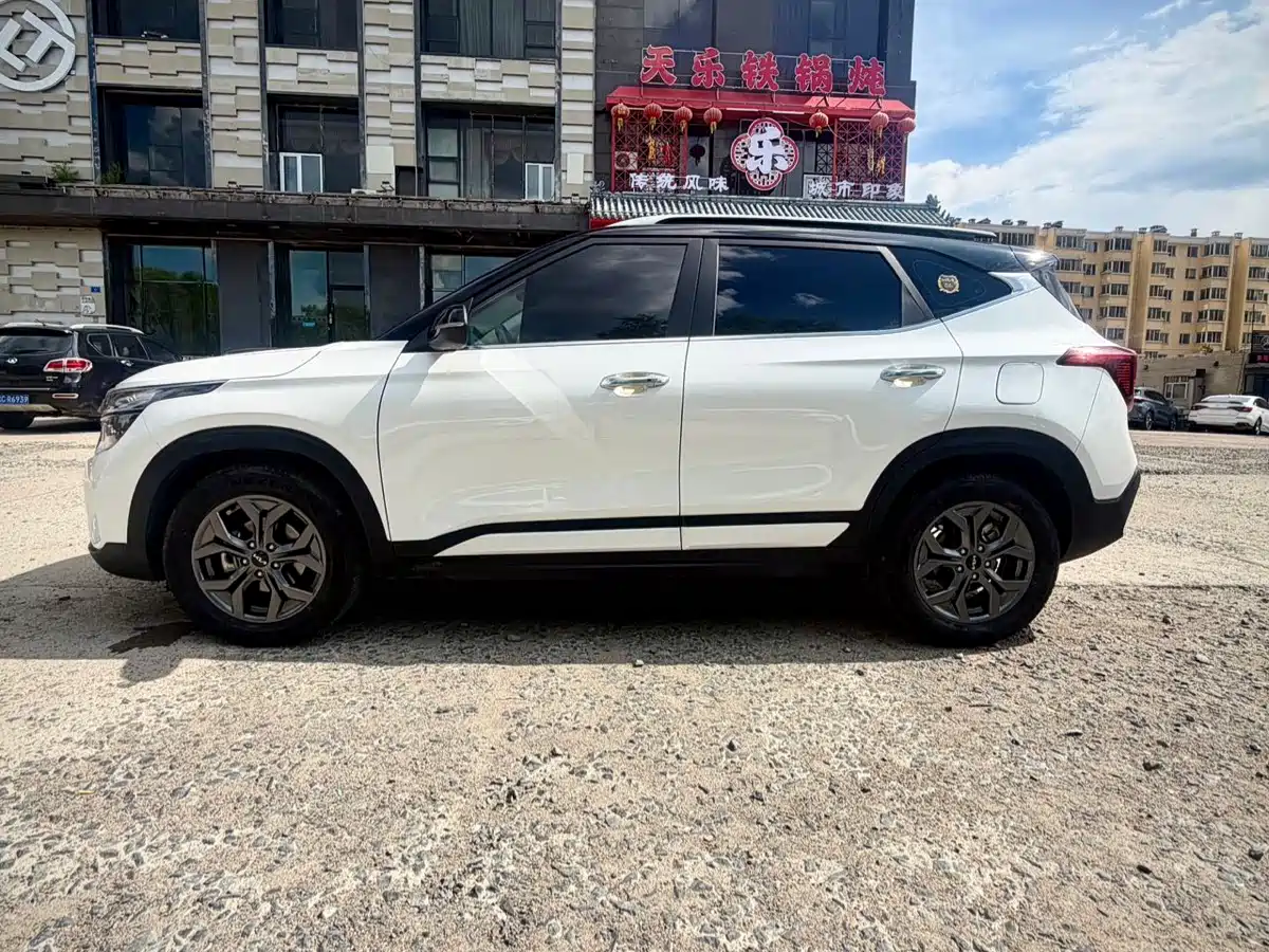 Kia Seltos 2024 2023 1.5L CVT Luxury Edition