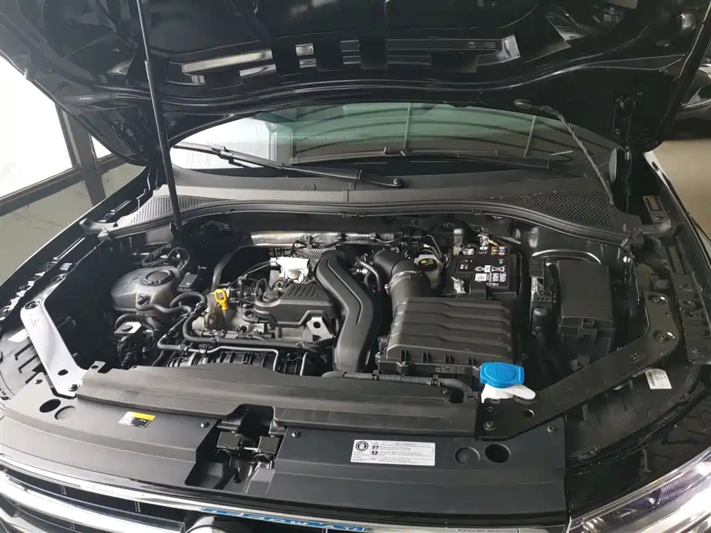 Volkswagen Tiguan L 2025 Model 300TSI Auto 2WD Dragon Edition фото 16