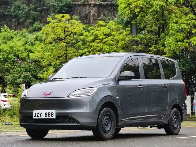  Wuling Motors Wuling Hongguang New Energy 2024 Model Pure Electric 300KM Utility Version