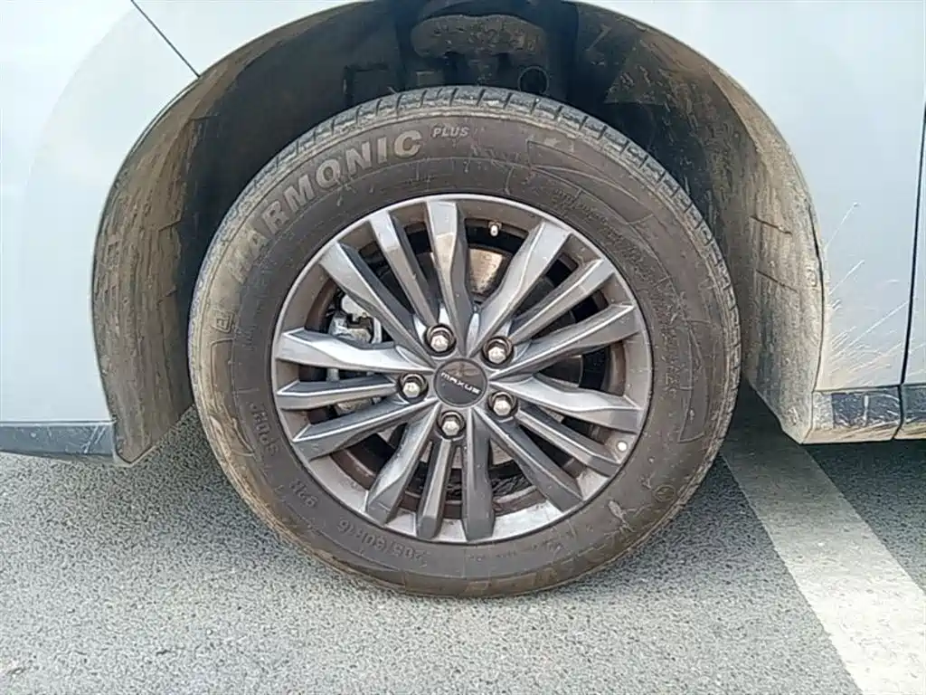 Фото 23 - Maxus Maxus G50 PHEV