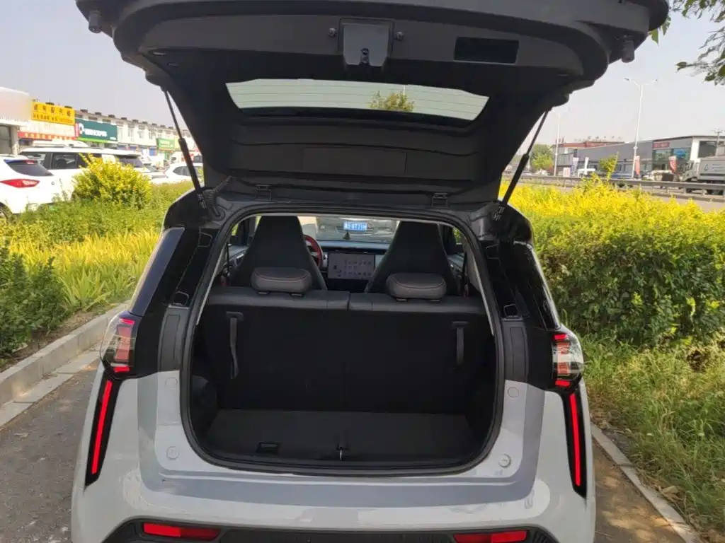 Chery New Energy Chery Wujie Pro 2023 2022 Model 301km Mythical Beast Edition LFP