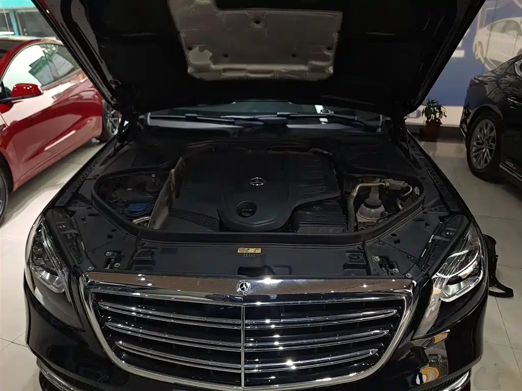Mercedes-Benz S-Class 2020 S 350 L Premium Edition Collector's Version фото 11