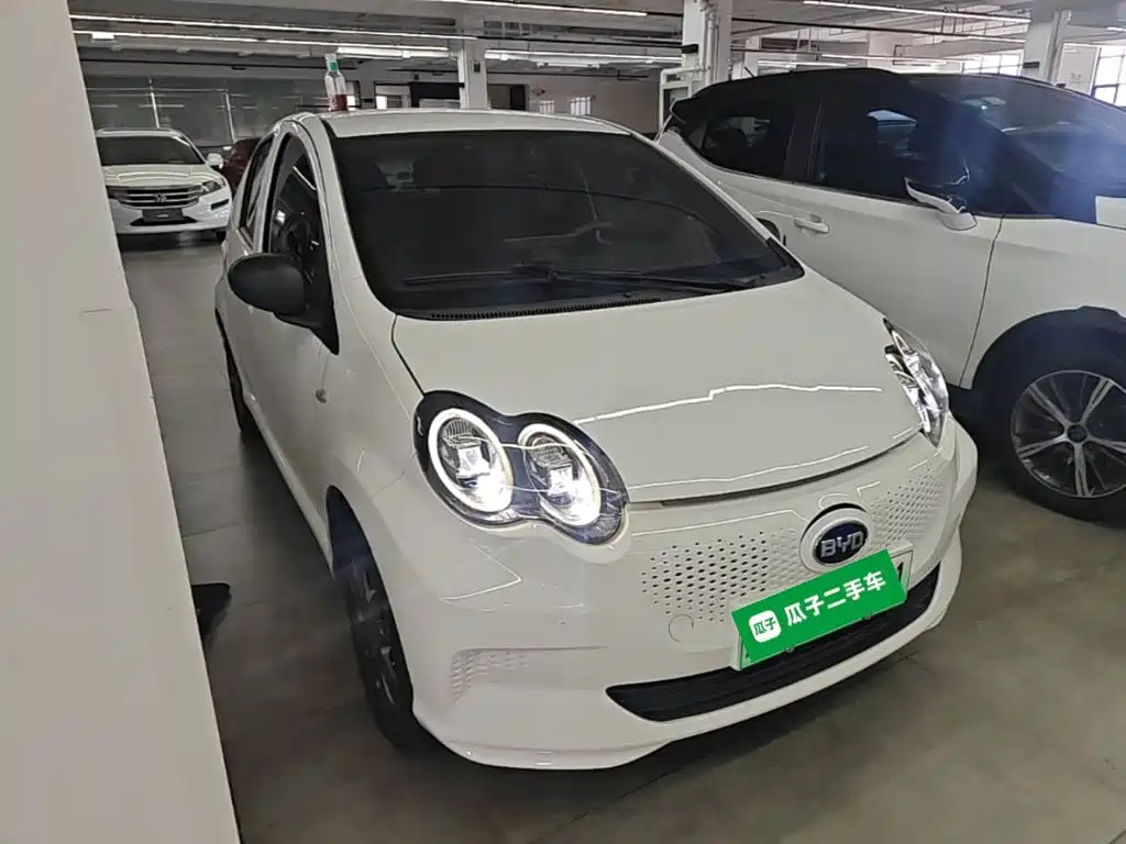 2020 BYD e1