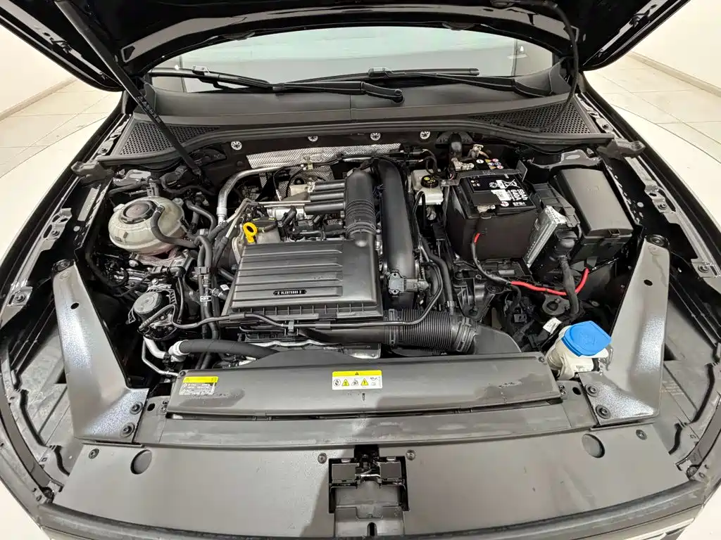 Volkswagen Magotan, миниатюра 12