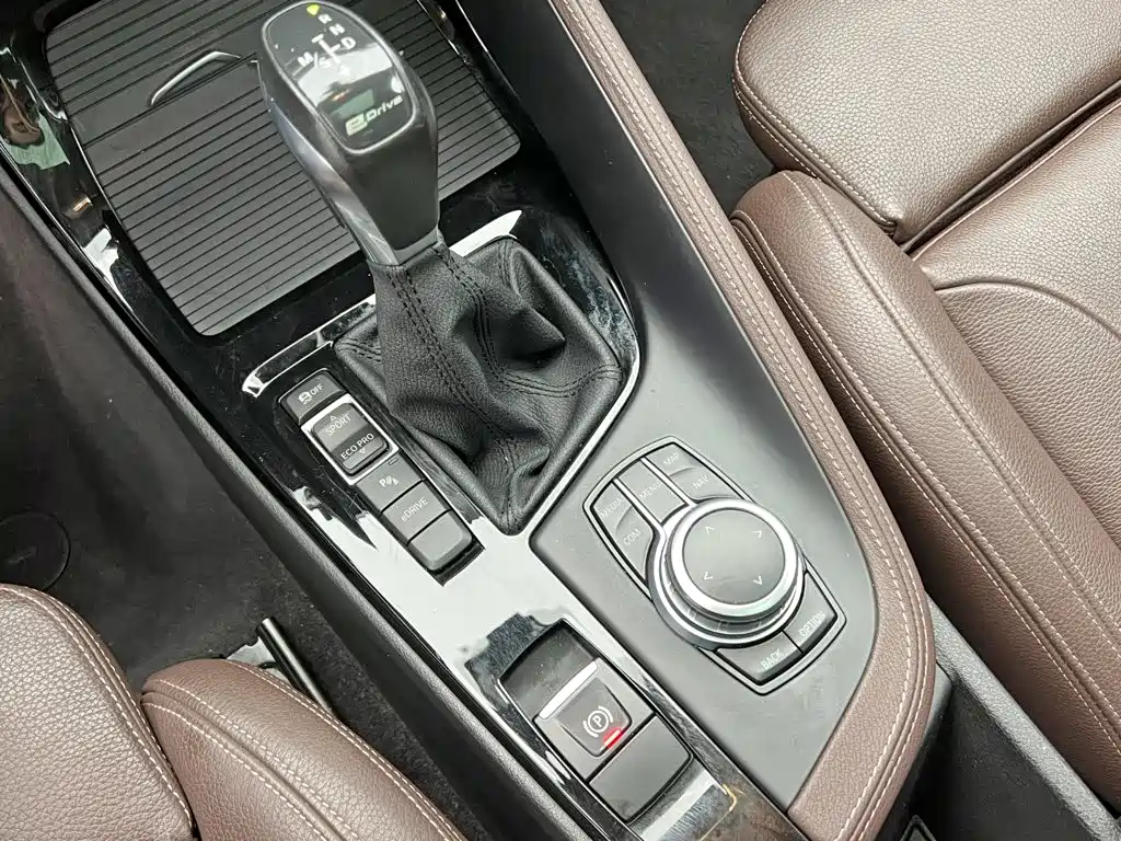 BMW X1 New Energy 2018 2018 xDrive25Le Luxury Model