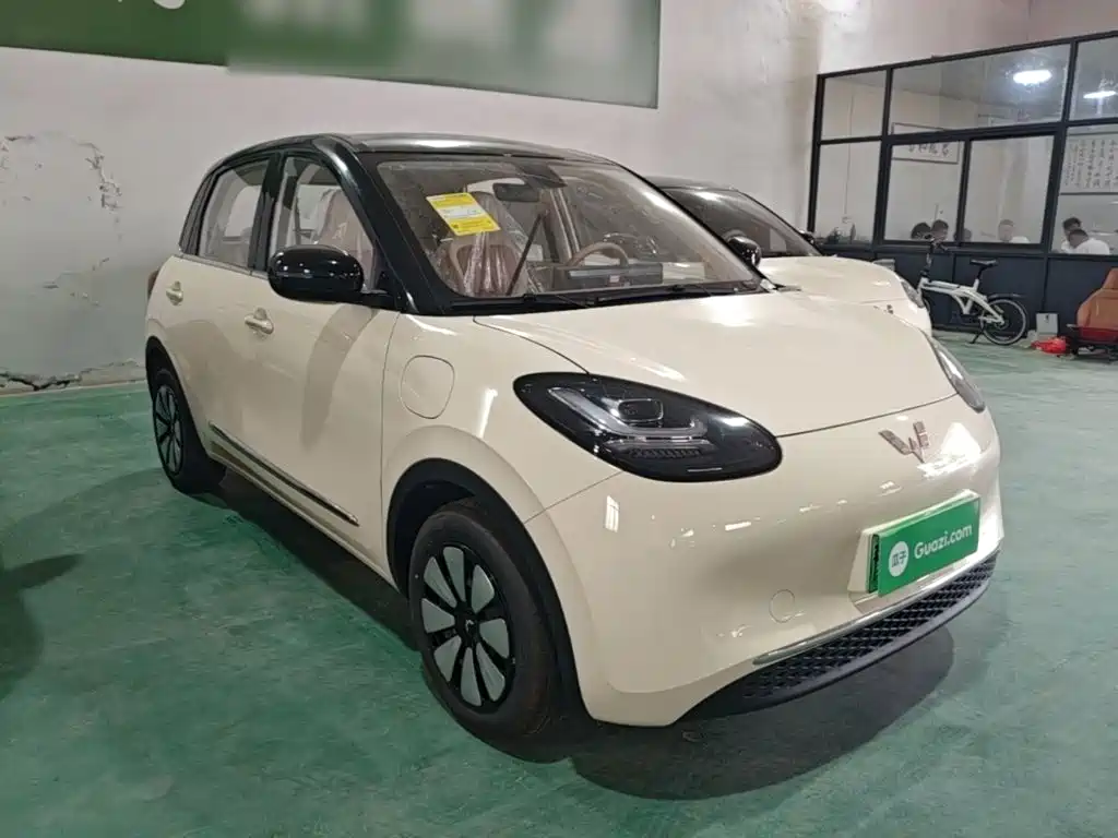 Wuling Motors Wuling Bingo 2026 2025 Model 333km Joy Edition