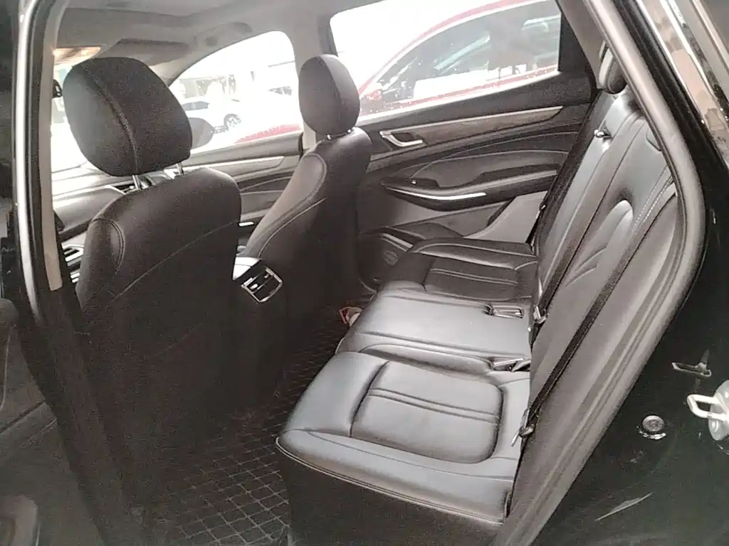 Landian E5 2024 2024 Glory Edition 100KM Comfort Type 5-Seater