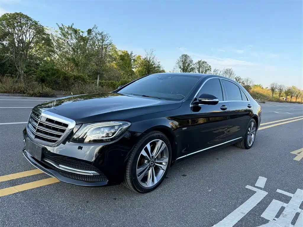 Mercedes-Benz S-Class 2020 S 350 L Premium Edition Collector's Version фото 2