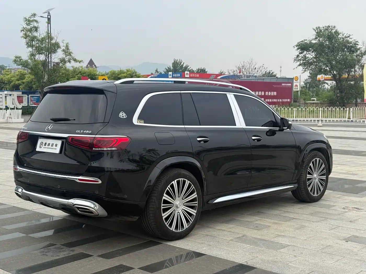 Mercedes-Benz Maybach GLS 2022 GLS 480 4MATIC фото 10