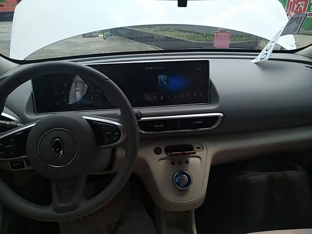 Ora White Cat 2020 2020 360km Luxury Model