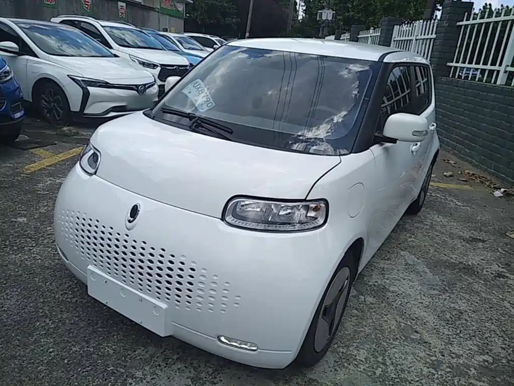 Ora White Cat 2020 2020 360km Luxury Model