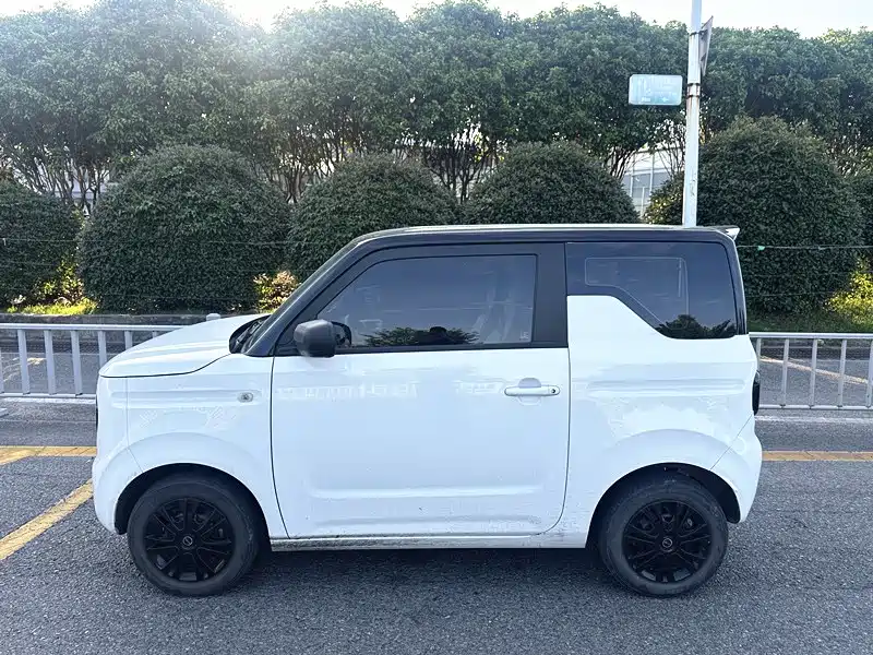 Geely Galaxy Panda 2023 Panda Mini 200km Endurance Bear фото 3