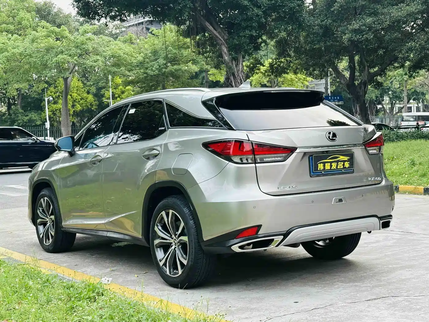 Фото 6 - Lexus RX