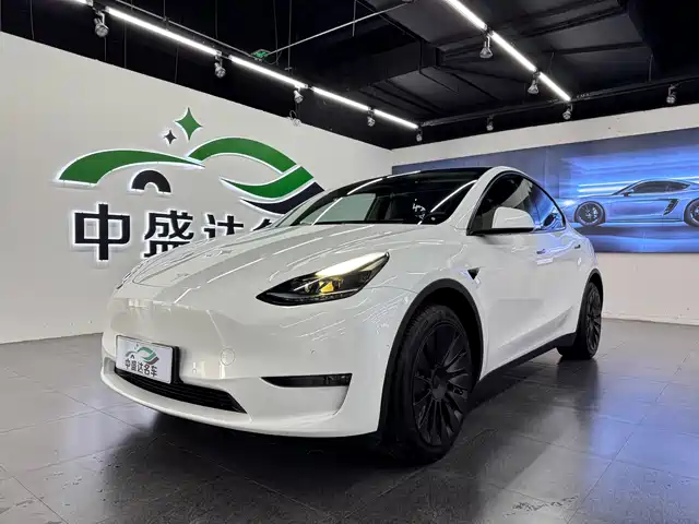 Tesla Model Y 2022 Long Range AWD — фото 1