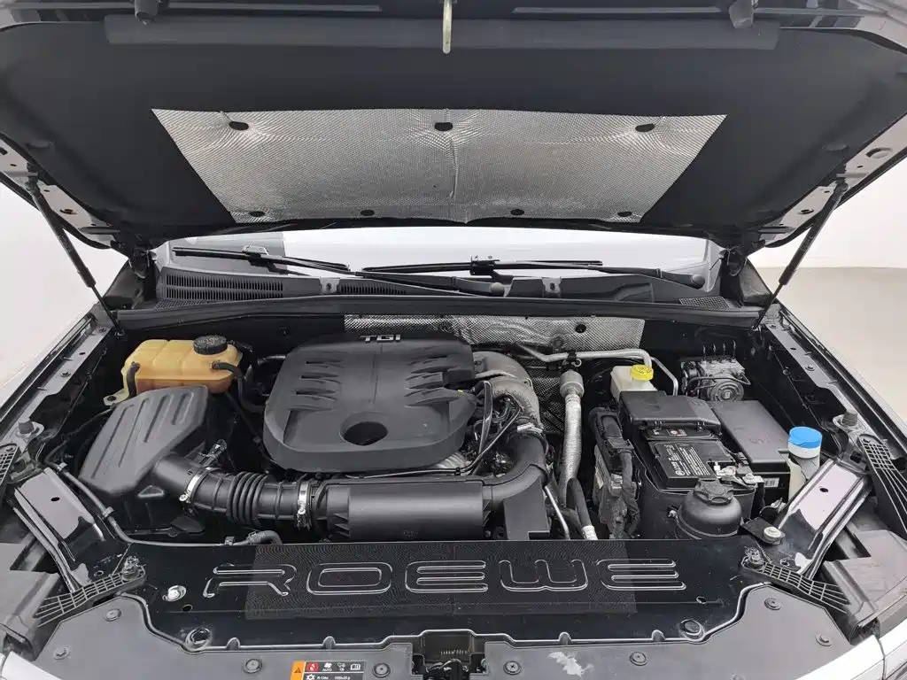Фото 6 - Roewe RX8