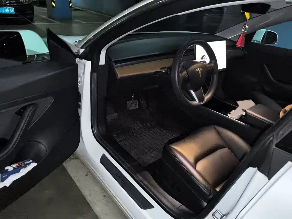 Tesla Model 3 2020 2020 Standard Range Rear-Wheel Drive Upgrade
