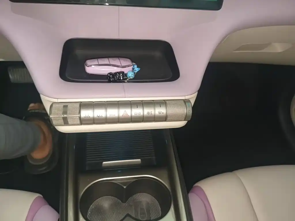 BYD Dolphin 2022 2021 Model 405km Fashion Edition