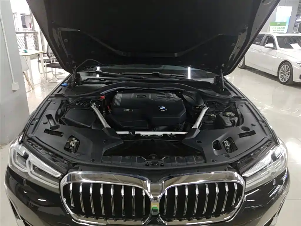 BMW 5 Series 2022 530Li Leading Luxury Package фото 20