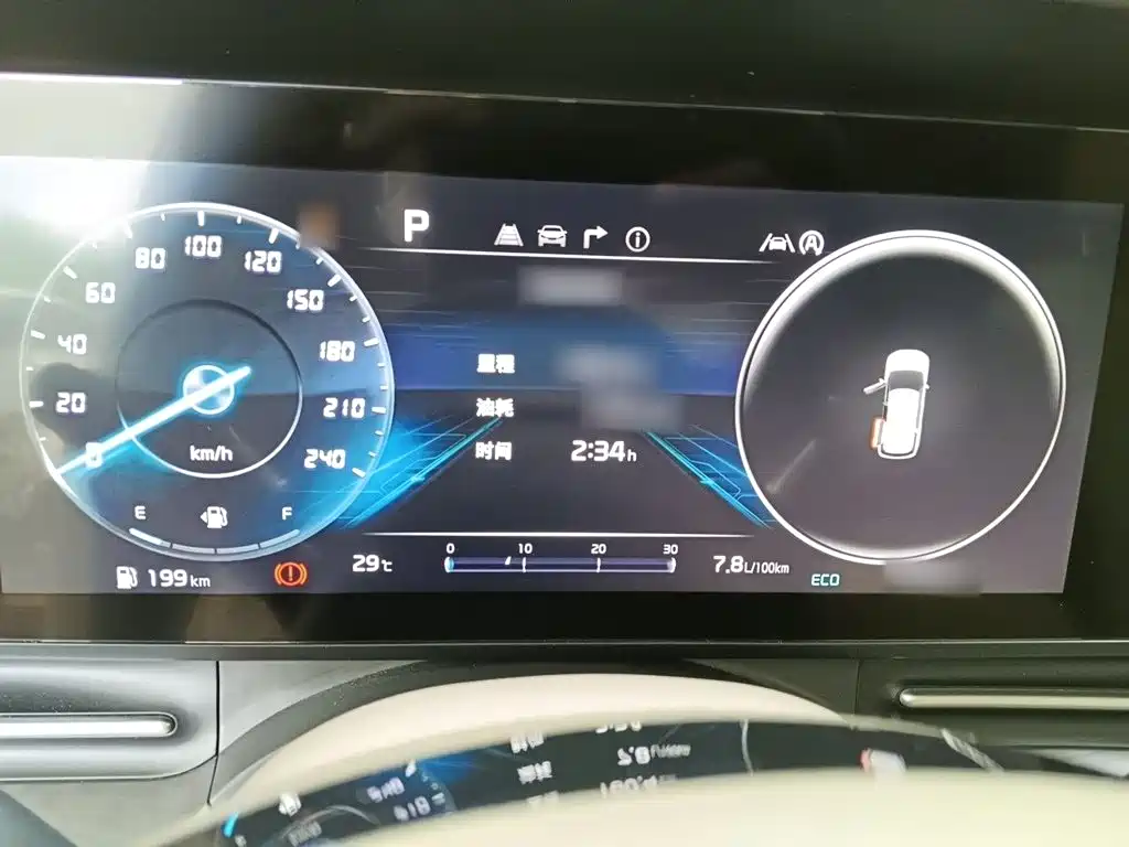 Kia Carnival 2021 2021 2.0T Luxury Premium Edition